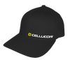 FlexFit® Logo Hat